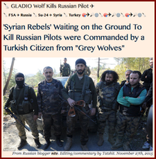20151127 GLADIO Wolf Kills Russian Pilot