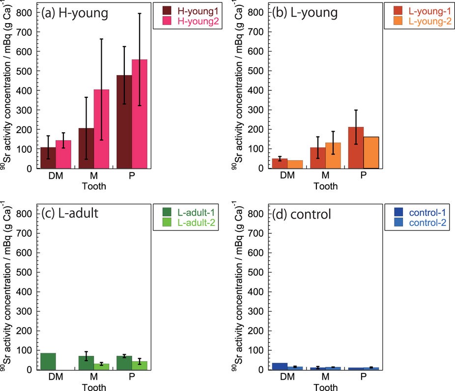 Figure 2- 90Sr activity concentration in teeth, srep24077-f2