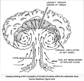Image #17 Mushroom Cloud_