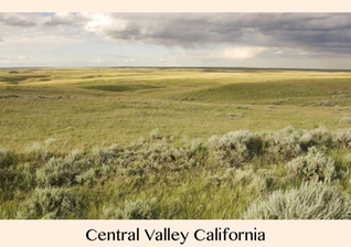 Pic 1. Your Radiation #40, Jan 16-23, 2016