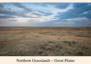 Pic 1. Your Radiation #41, Jan 23-30, 2016