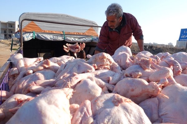 Pic 20. CWEMH7fWcAAX01g