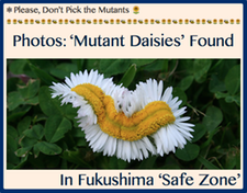 TITLE- Please, Don’t Pick the Mutants