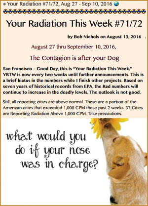 TITLE- Your Radiation #71/72, Aug 27 - Sep 10, 2016